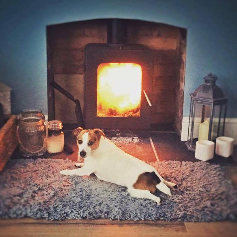 Saltfire ST2 Multifuel Wood Burning Stove 5kW – Stovefitter's Warehouse